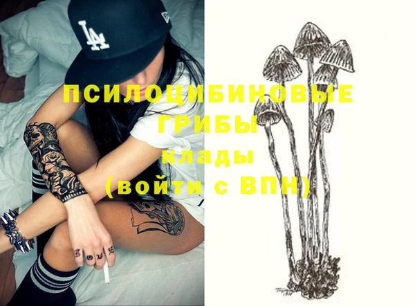 эйфоретик Вяземский