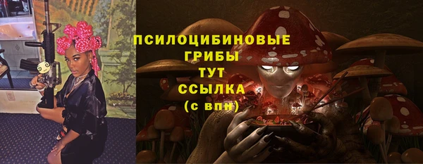 МДПВ Арсеньев