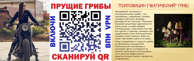 это клад Поронайск Галлюциногенные грибы мухоморы